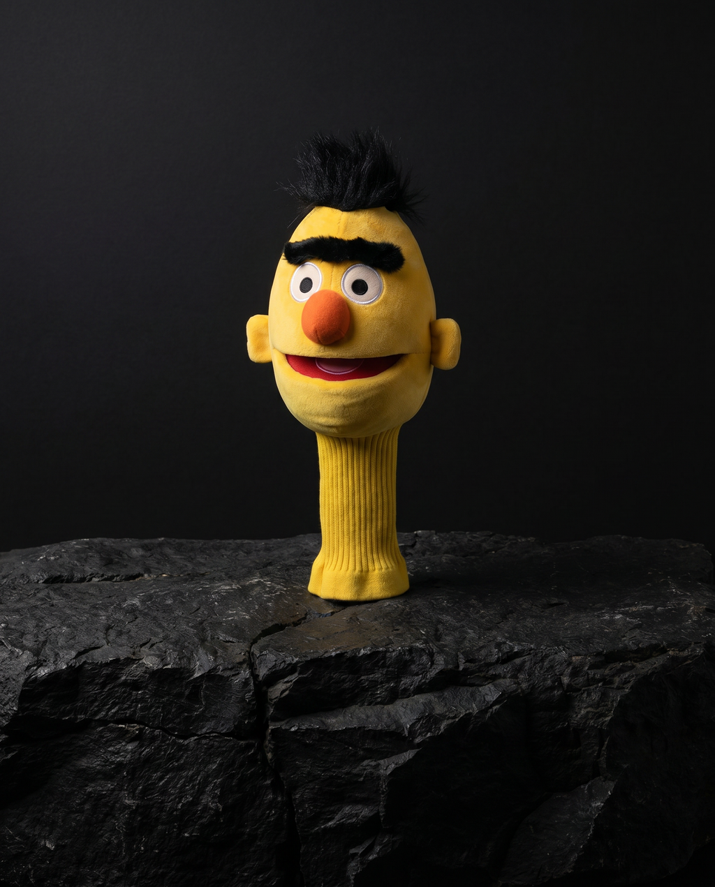 Bert Sesame Street Driver