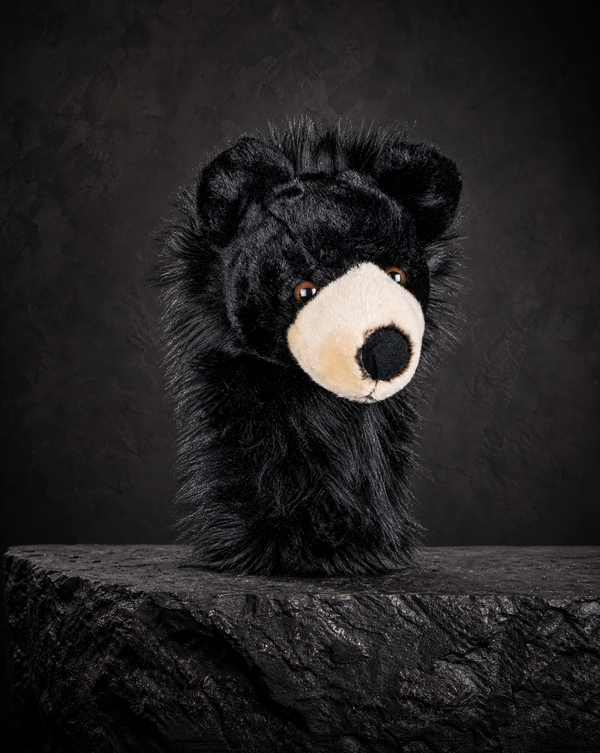 Black Bear Driver