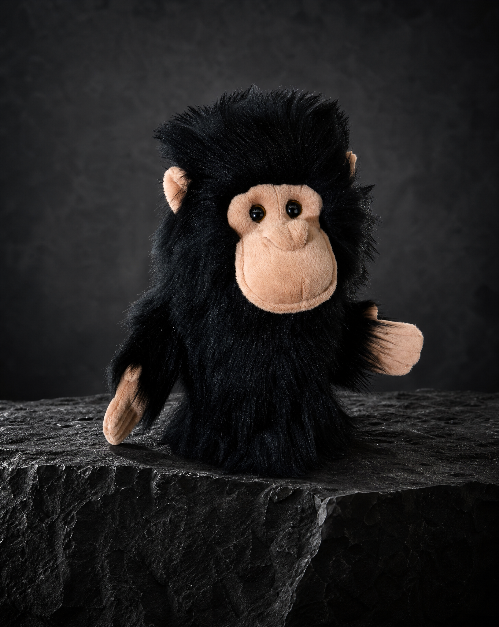 Chimp Driver