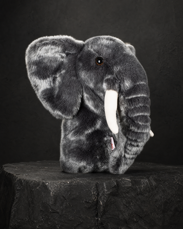 Elephant Driver