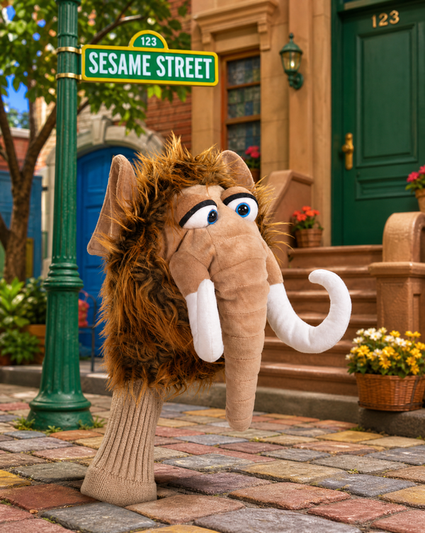 Fletcher Sesame Street Driver