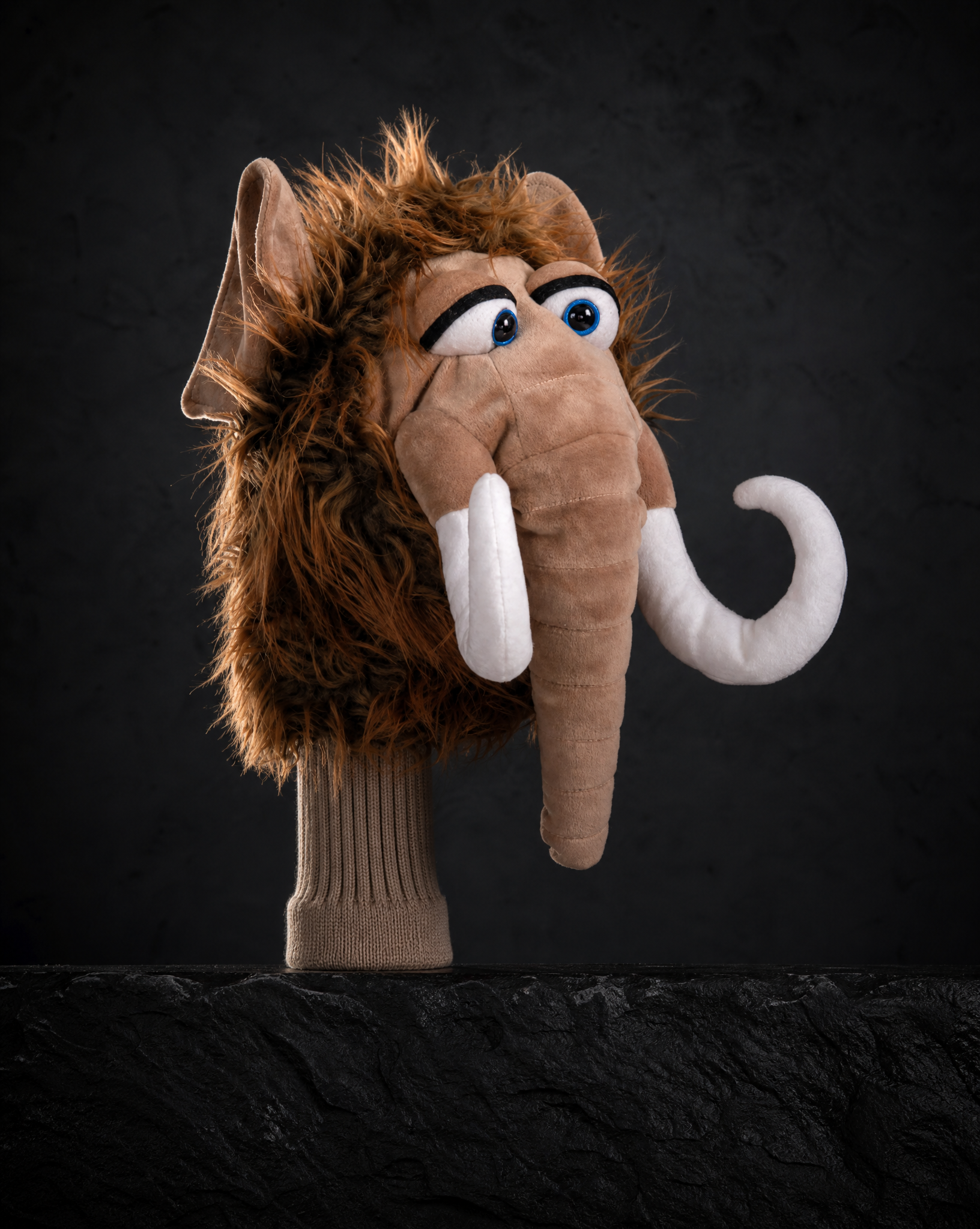Sesame Street Fletcher Driver