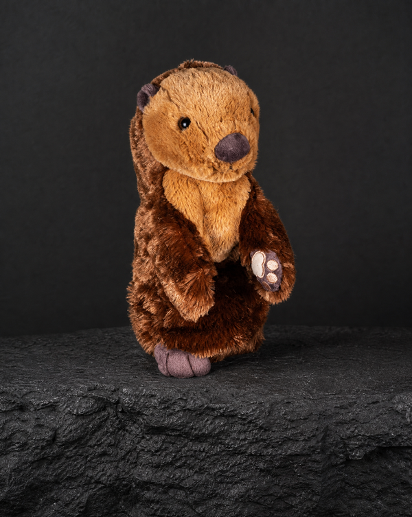 Otter Driver