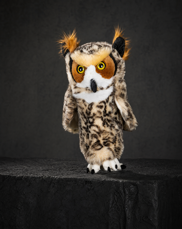 Owl Driver
