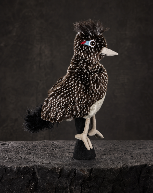 Road Runner Driver