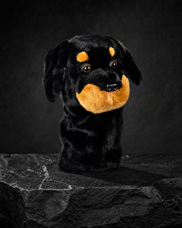 Rottweiller Driver