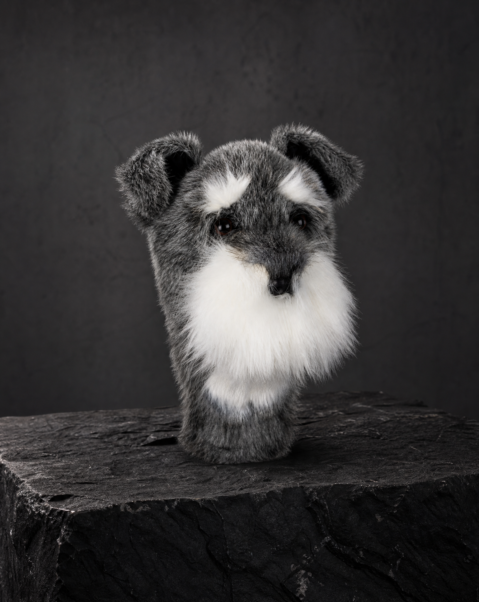 Schnauzer Driver