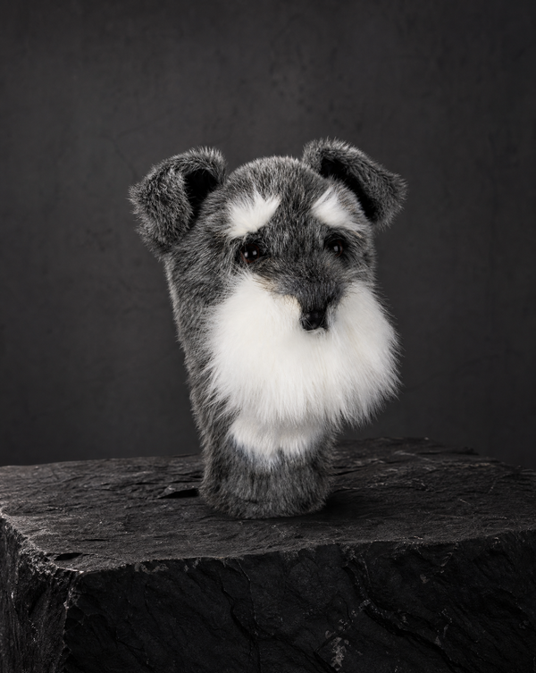 Schnauzer Driver