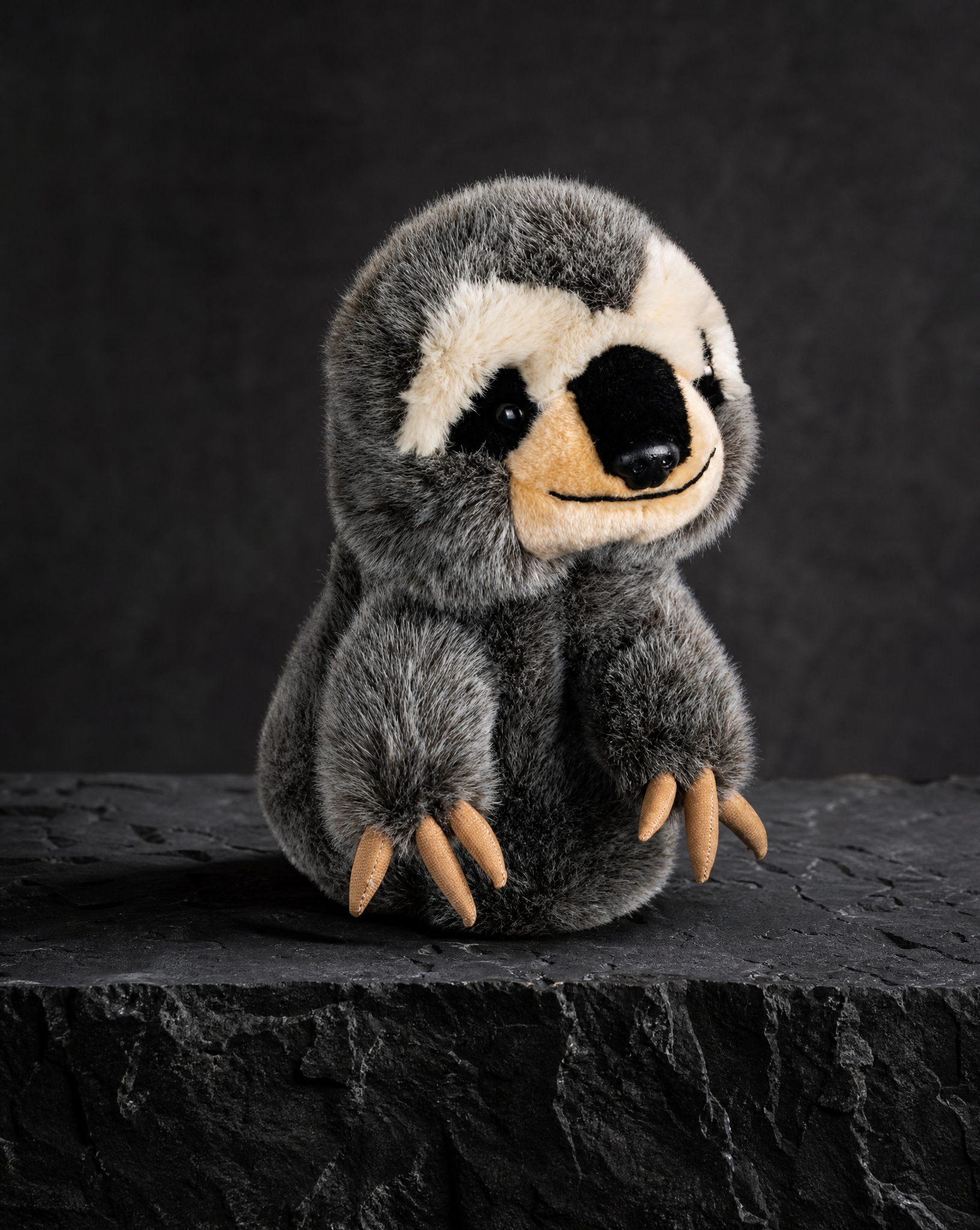 Sloth Driver
