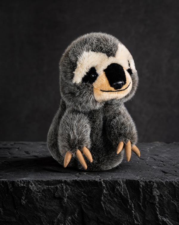 Sloth Driver