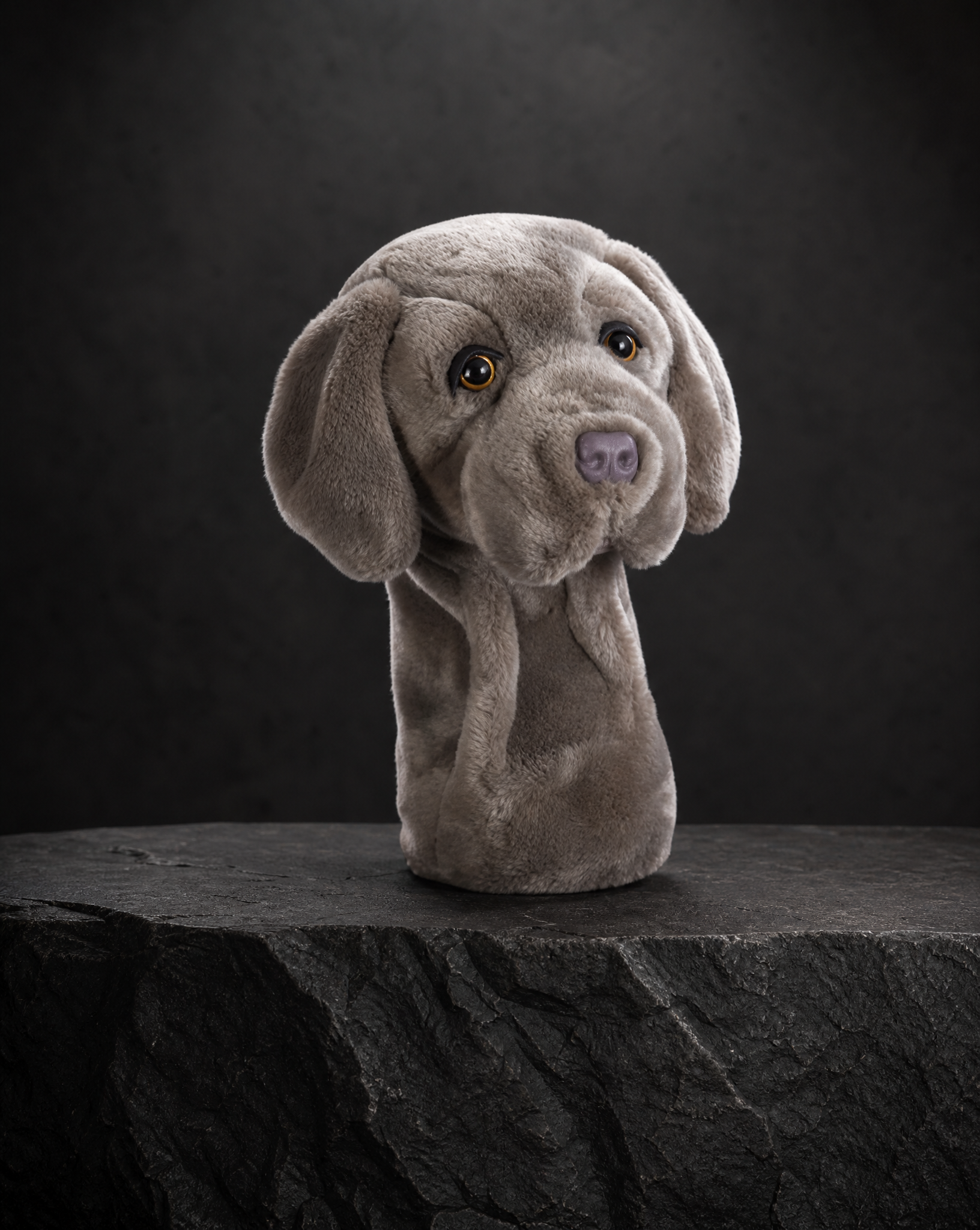 Weimaraner Driver