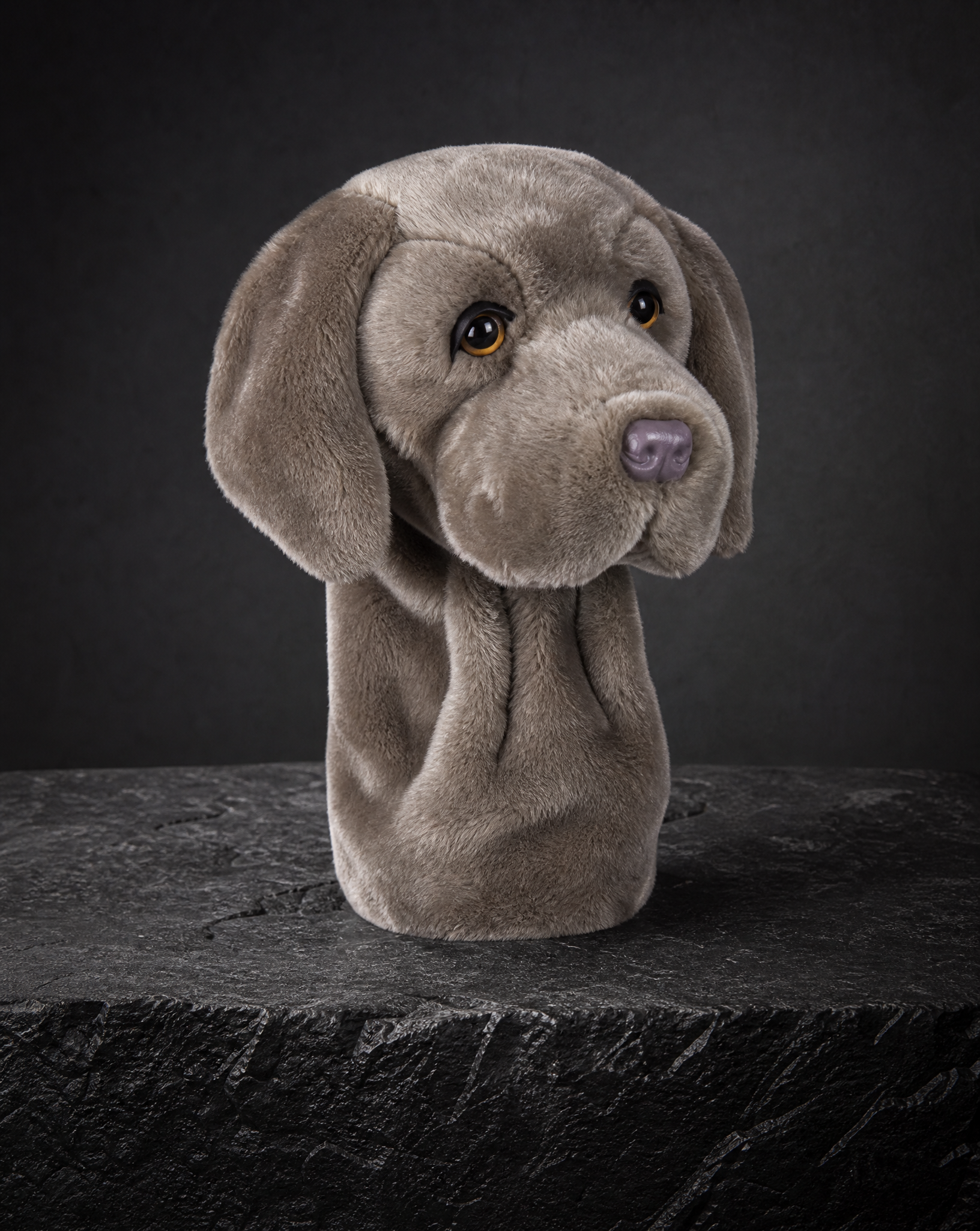 Weimaraner Driver