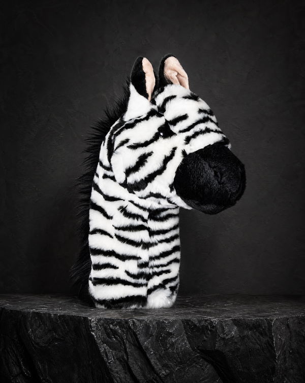 Zebra Driver
