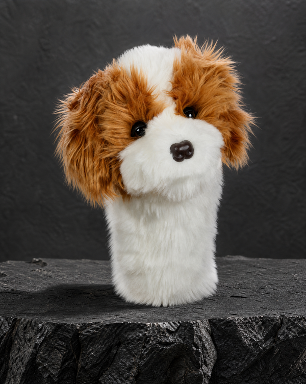 Cavapoo Driver