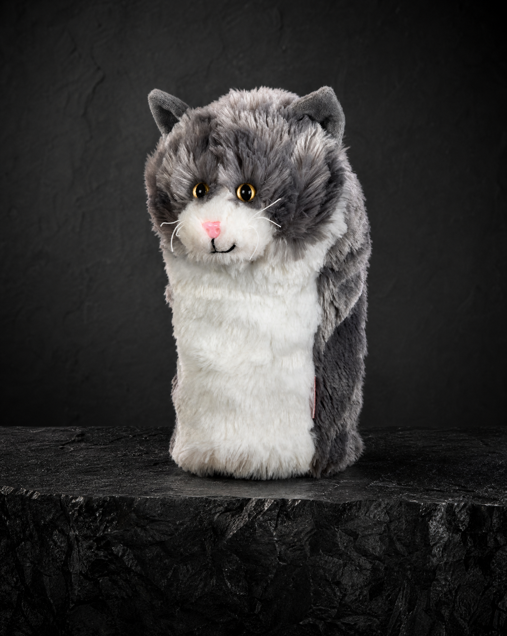 Grey and White Cat Driver