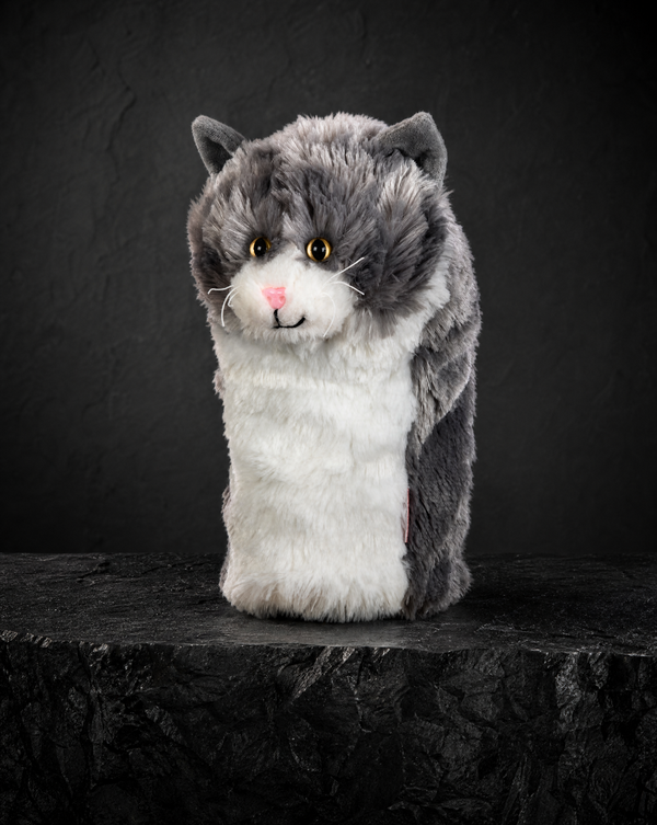 Grey and White Cat Driver